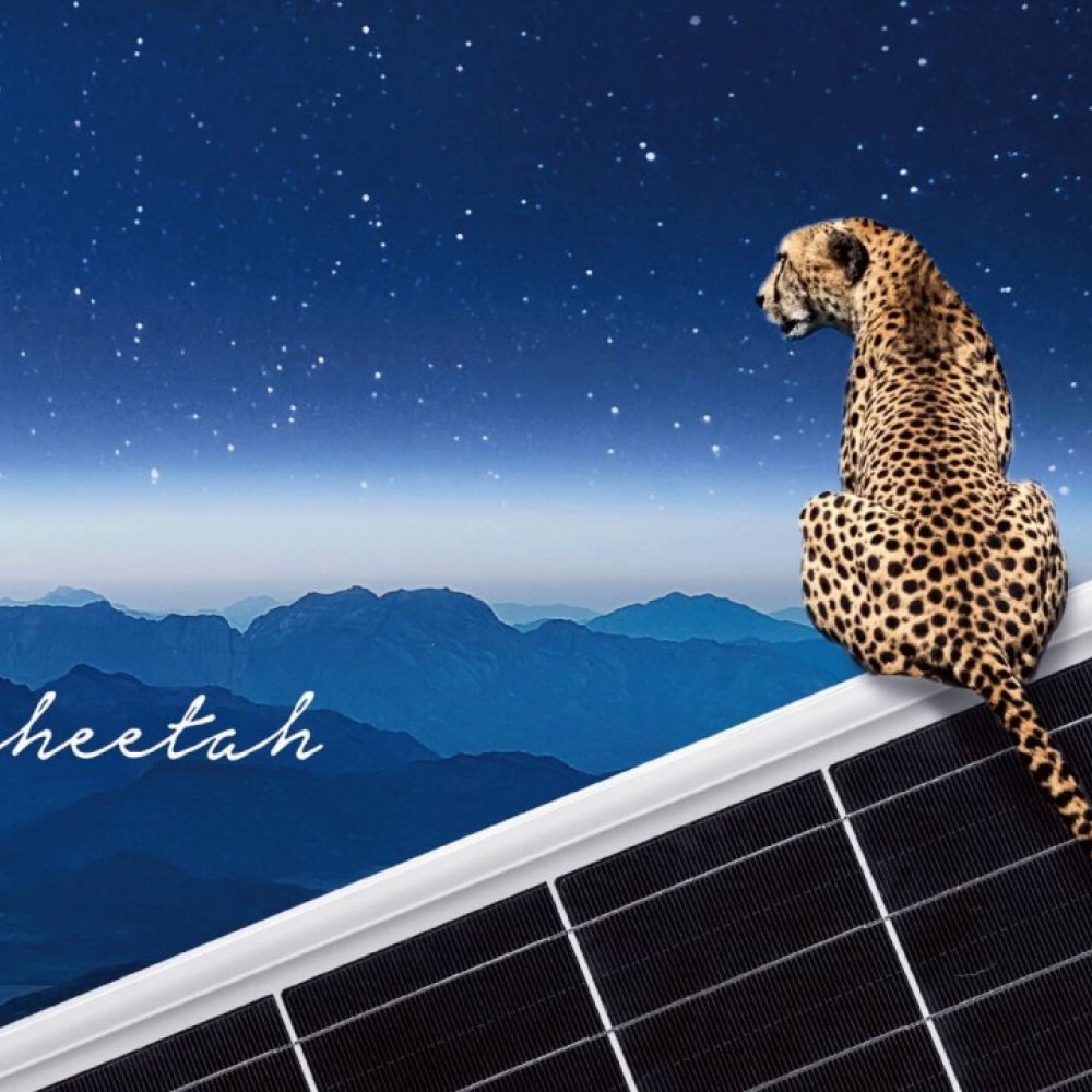 jinko-cheetah-390wp